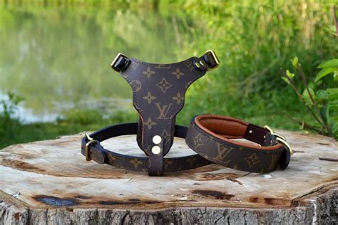 louis vuitton small dog harness.